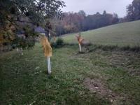 IMG_20221008_180057 (800x600).jpg